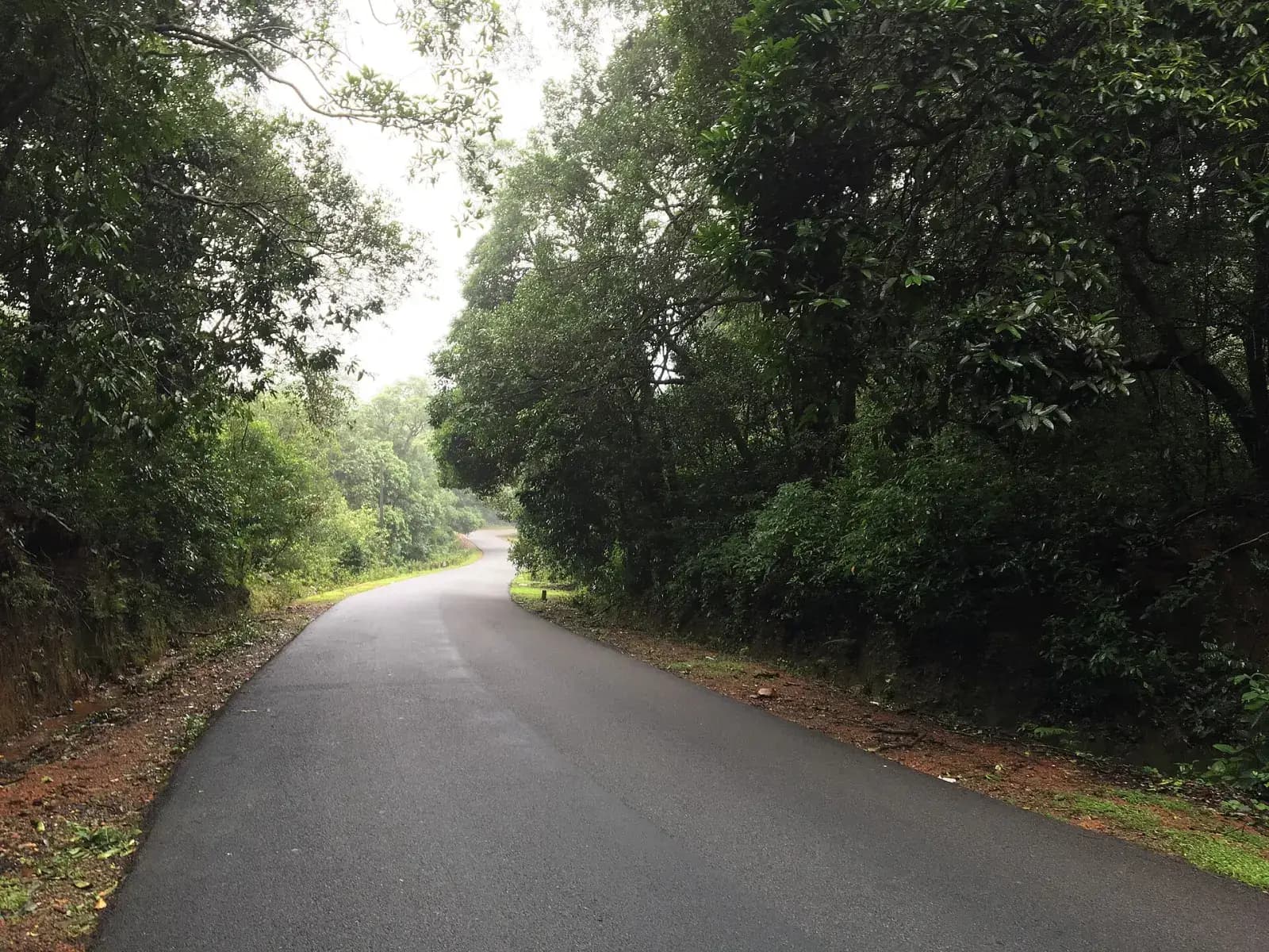 Agumbe Rainforest & Sunset Point Monsoon Escape