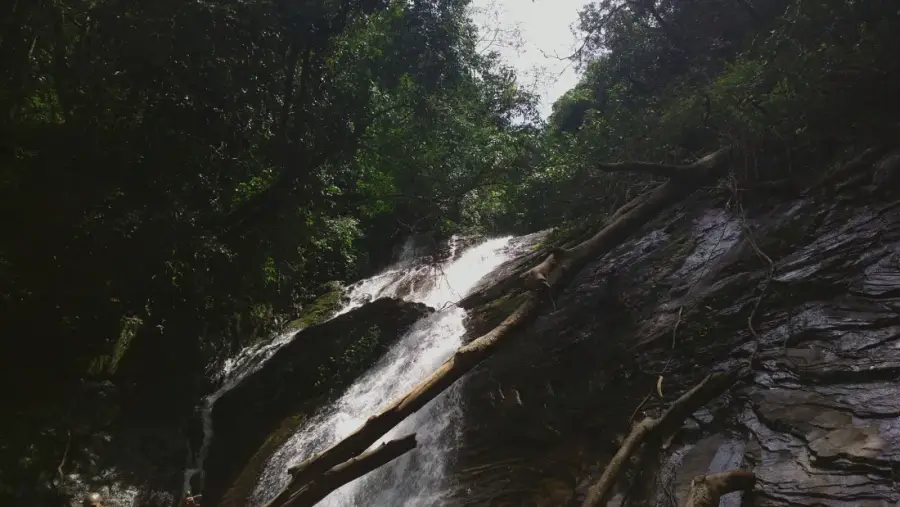 Kodachadri Trek via Hidlumane Falls photo 5