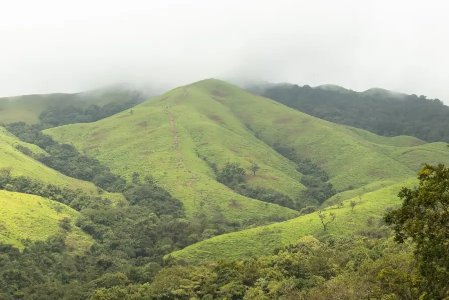 Kudremukh Peak Trek Through Shola Grasslands photo 4