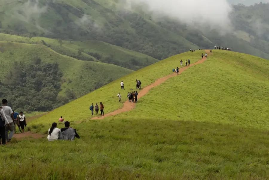 Kudremukh Peak Trek Through Shola Grasslands photo 5