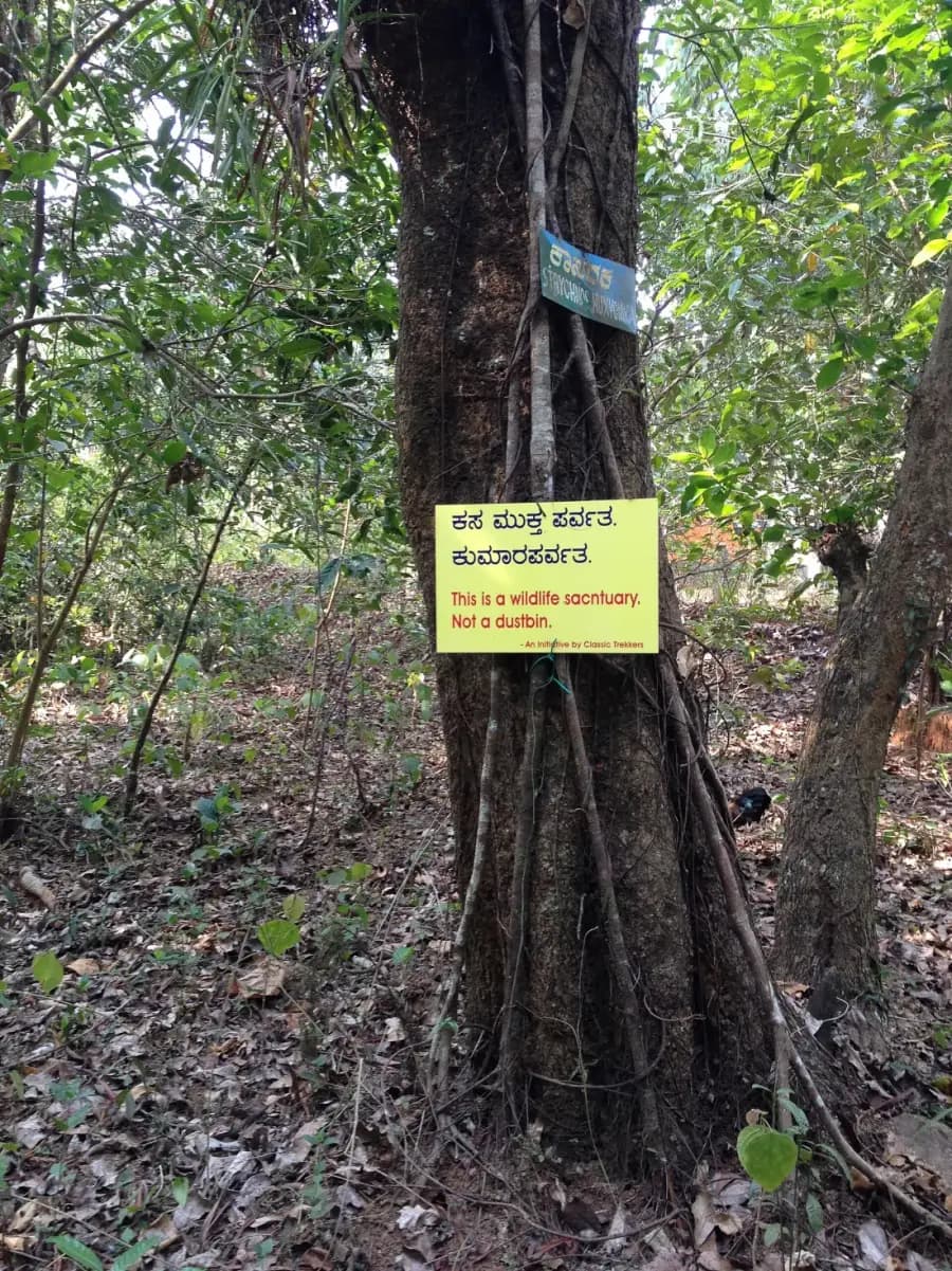 Kumara Parvatha Trek from Kukke Subramanya photo 5